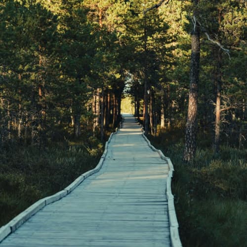 Nature Trail